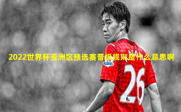 2022世界杯亚洲区预选赛晋级规则是什么意思啊