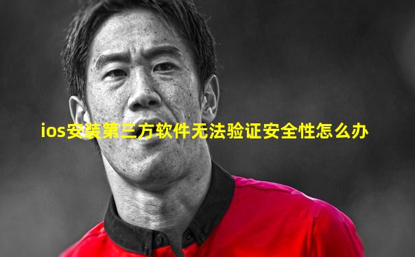ios安装第三方软件无法验证安全性怎么办