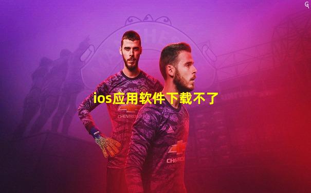 ios应用软件下载不了