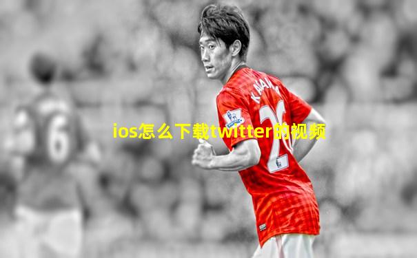 ios怎么下载twitter的视频
