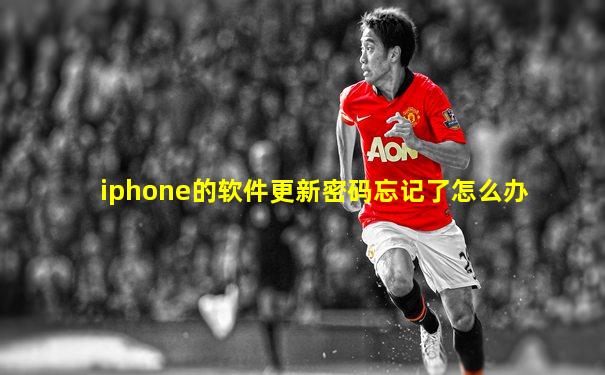 iphone的软件更新密码忘记了怎么办