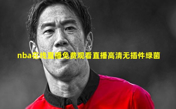 nba在线直播免费观看直播高清无插件绿菌