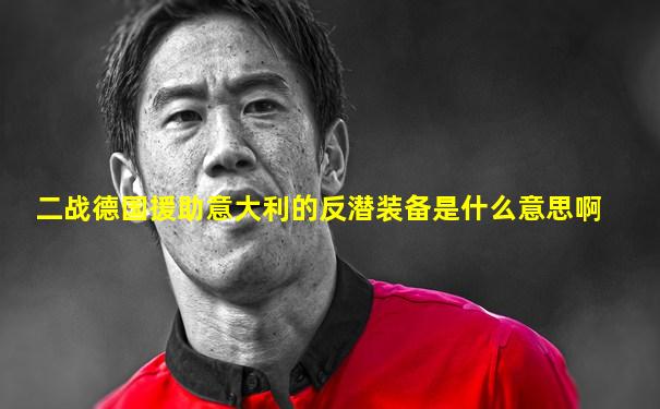 二战德国援助意大利的反潜装备是什么意思啊