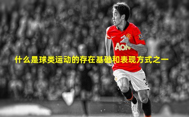什么是球类运动的存在基础和表现方式之一