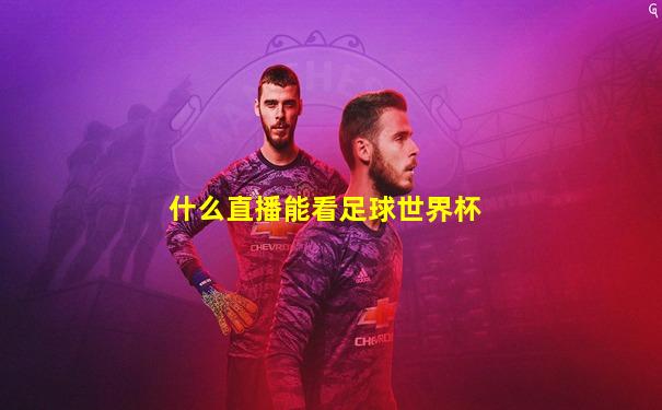 什么直播能看足球世界杯