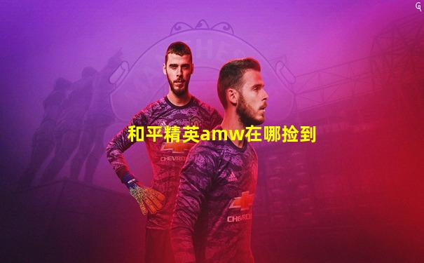 和平精英amw在哪捡到