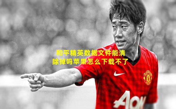 和平精英数据文件能清除掉吗苹果怎么下载不了