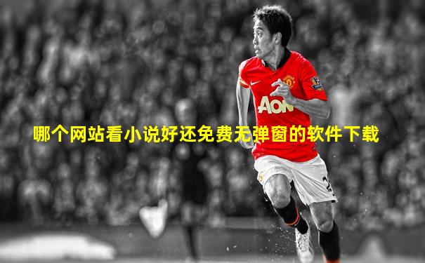 哪个网站看小说好还免费无弹窗的软件下载