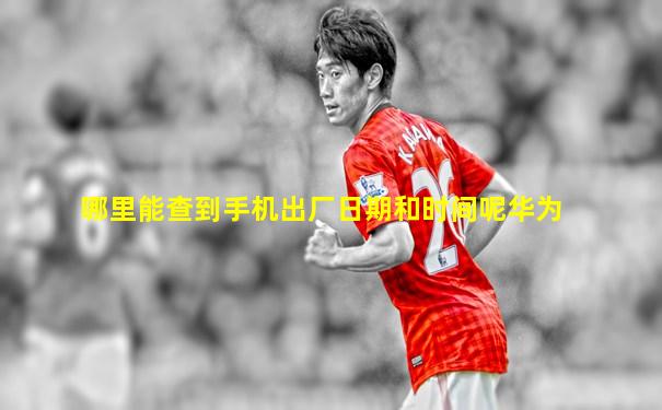 哪里能查到手机出厂日期和时间呢华为