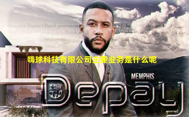 嗨球科技有限公司主要业务是什么呢