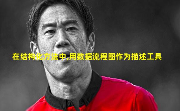 在结构化方法中,用数据流程图作为描述工具