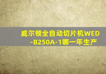 威尔顿全自动切片机WED-B250A-1哪一年生产