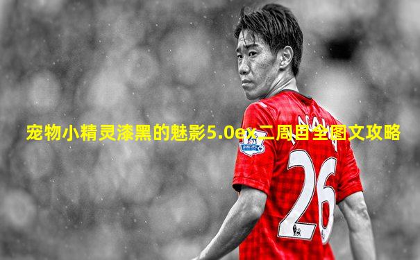 宠物小精灵漆黑的魅影5.0ex二周目全图文攻略
