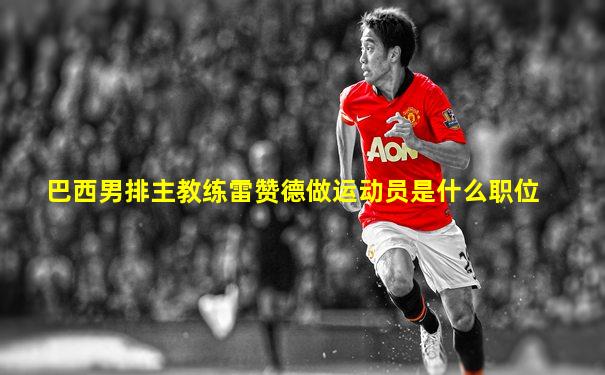 巴西男排主教练雷赞德做运动员是什么职位