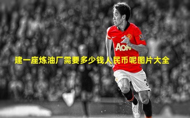 建一座炼油厂需要多少钱人民币呢图片大全
