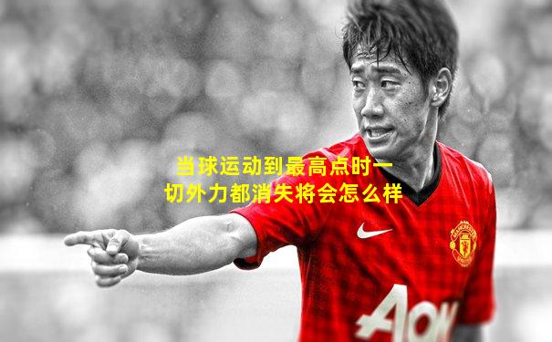 当球运动到最高点时一切外力都消失将会怎么样