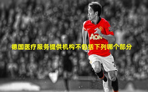 德国医疗服务提供机构不包括下列哪个部分