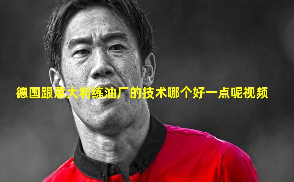 德国跟意大利练油厂的技术哪个好一点呢视频