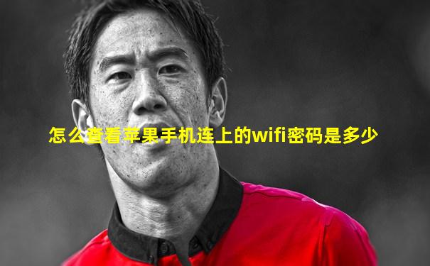 怎么查看苹果手机连上的wifi密码是多少