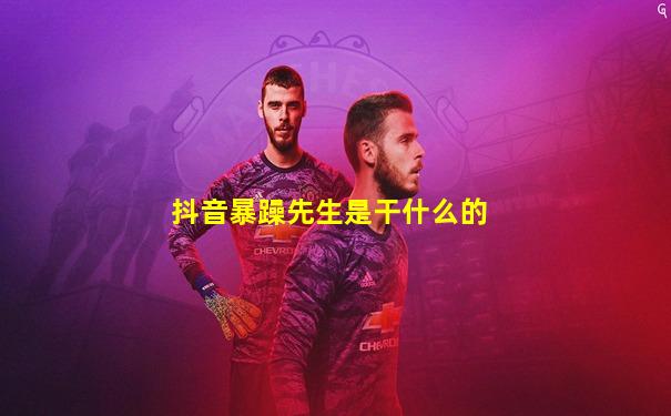 抖音暴躁先生是干什么的