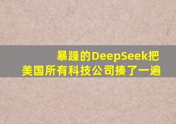 暴躁的DeepSeek把美国所有科技公司揍了一遍