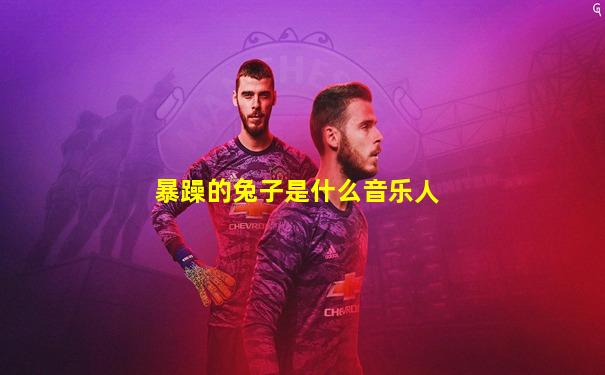 暴躁的兔子是什么音乐人