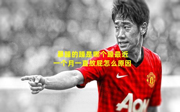 暴躁的躁是哪个躁最近一个月一直放屁怎么原因