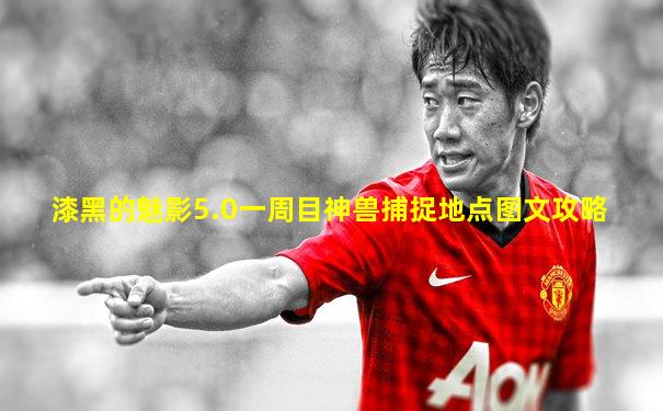 漆黑的魅影5.0一周目神兽捕捉地点图文攻略