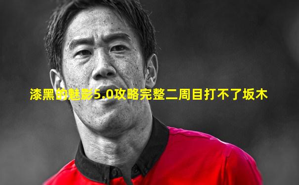 漆黑的魅影5.0攻略完整二周目打不了坂木