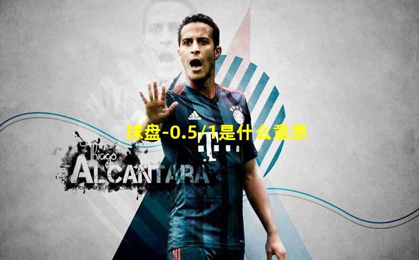 球盘-0.5/1是什么意思