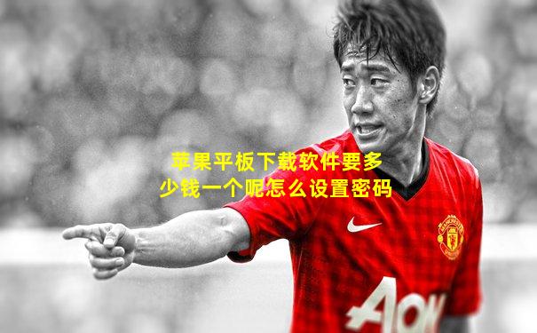 苹果平板下载软件要多少钱一个呢怎么设置密码
