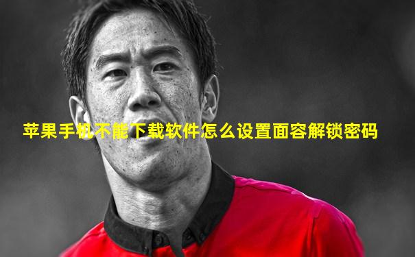 苹果手机不能下载软件怎么设置面容解锁密码