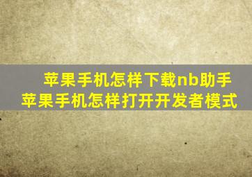 苹果手机怎样下载nb助手苹果手机怎样打开开发者模式