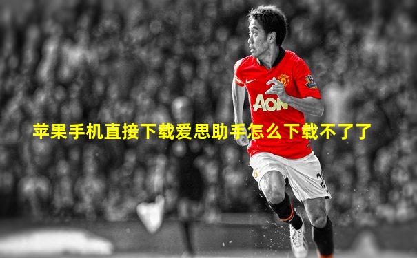 苹果手机直接下载爱思助手怎么下载不了了