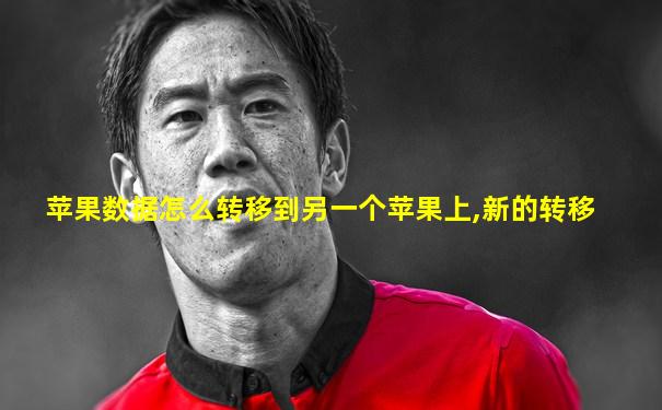 苹果数据怎么转移到另一个苹果上,新的转移