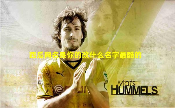 西瓜网名是你的改什么名字最酷的