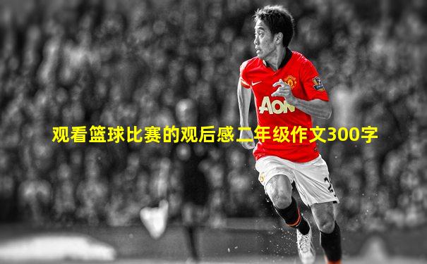 观看篮球比赛的观后感二年级作文300字