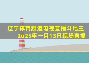 辽宁体育频道电视直播斗地主2o25年一月13日现场直播