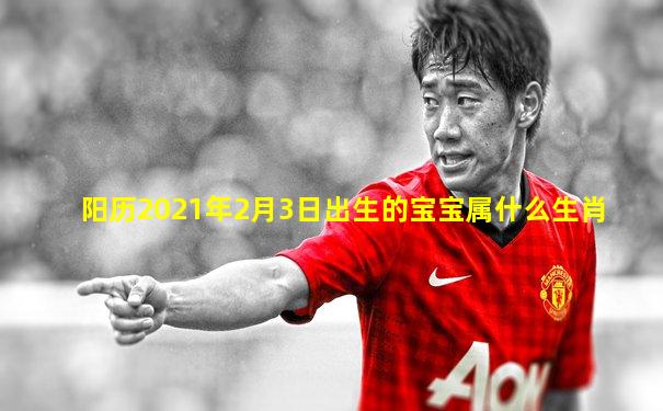 阳历2021年2月3日出生的宝宝属什么生肖