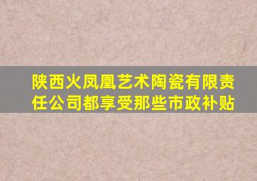 陕西火凤凰艺术陶瓷有限责任公司都享受那些市政补贴